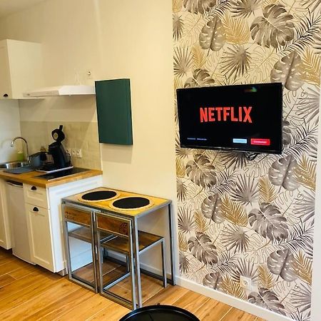 Studio Du Chateau Climatisee Carcassonne Zewnętrze zdjęcie