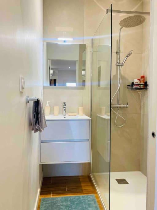 Studio Du Chateau Climatisee Carcassonne Zewnętrze zdjęcie